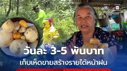 เก็บเห็ดขายสร้างรายได้หน้าฝน วันละ 3-5 พันบาท
