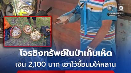 เตือนภัย โจรชิงทรัพย์ในป่าเก็บเห็ด ถูกชิงเงิน 2,100 บาท เอาไว้ซื้อนมให้หลาน