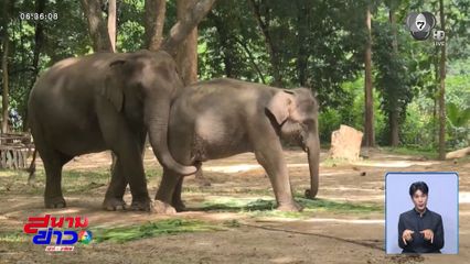 แม่-ลูก พลัดพรากกว่า 4 ปี เจอหน้ากันแล้ว จ.ลำปาง