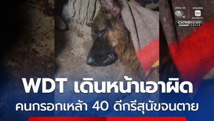มูลนิธิวอชด็อก ไทยแลนด์ เอาผิดชายเมาเอาเหล้า 40 ดีกรีกรอกปากสุนัข จนตาย