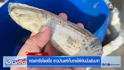 หอยการังโผล่อื้อ ชาวบ้านแห่เก็บขายได้เงินนับพันบาท