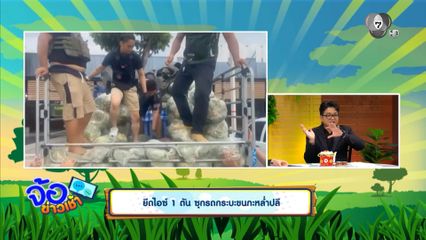 ยึดไอซ์ 1 ตัน ซุกรถกระบะขนกะหล่ำปลี