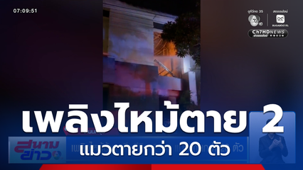 สุดสลด เพลิงไหม้บ้าน เสียชีวิต 2 คน แมวตายกว่า 20 ตัว