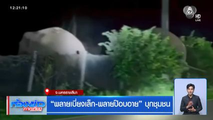 พลายเบี่ยงเล็ก-พลายป๊อบอาย บุกชุมชน