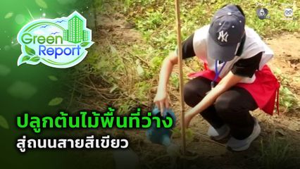 Green Report : ปลูกต้นไม้พื้นที่ว่าง สู่ถนนสายสีเขียว