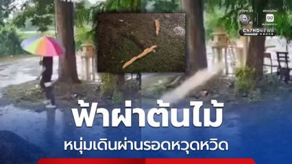 ฟ้าผ่าต้นไม้ ! หนุ่มเดินผ่านไปเสี้ยวนาที รอดหวุดหวิด