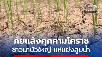 ภัยแล้ง “โคราช” ลามหนัก นาขาดน้ำ ข้าวทยอยตาย “ชาวนาบัวใหญ่” แห่แย่งสูบน้ำก้นคลอง วอนหน่วยงานรัฐช่วยเหลือ