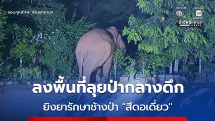 ทีมเจ้าหน้าที่ ขสป.สลักพระ และสัตวแพทย์ ลงพื้นที่กลางดึก ยิงยารักษาช้างป่า “สีดอเดี่ยว” บาดเจ็บที่ขาหลัง