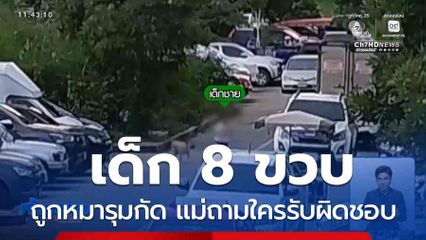 เด็ก 8 ขวบ ถูกหมาจรจัดรุมกัด แม่ถามใครรับผิดชอบ