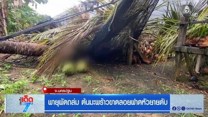 พายุพัดถล่ม ต้นมะพร้าวขาดลอยฟาดหัวยายดับ