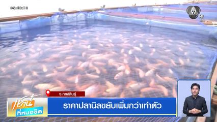 ราคาปลานิลขยับเพิ่มกว่าเท่าตัว