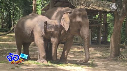 แม่ - ลูก พลัดพรากกว่า 4 ปี เจอหน้ากันแล้ว