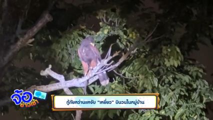 กู้ภัยหว่านแหจับ "เหยี่ยว" บินวนในหมู่บ้าน