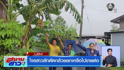 โจรสาวลักตัดกล้วยยกเครือไปขายต่อ