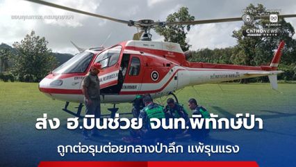 ส่ง ฮ. บินลุยป่าลึก ช่วย จนท.พิทักษ์ป่า อช.ศรีพังงา โดน “ตัวต่อ” รุมต่อยแพ้รุนแรงอาการวิกฤต ขณะลาดตระเวน
