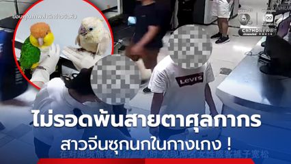ไม่รอดพ้นสายตาศุลกากรเซินเจิ้น รวบสาวซุกนก 2 ตัวในกางเกง