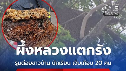 ผึ้งหลวงแตกรัง รุมต่อยชาวบ้าน นักเรียน เจ็บเกือบ 20 คน