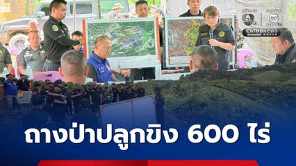 บก.ปทส. ลงพื้นที่สวนป่าไชยปราการ ดำเนินคดีถางป่าปลูกขิง 600 ไร่