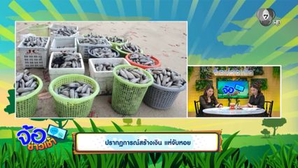 ปรากฏการณ์สร้างเงิน แห่จับหอย