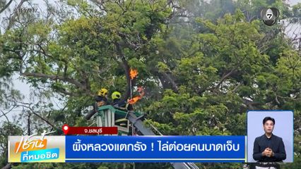 ผึ้งหลวงแตกรัง ! ไล่ต่อยคนบาดเจ็บ