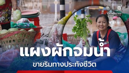 น้ำท่วมแต่ไม่ท้อ แม่ค้าผักฮึดสู้ ตั้งแผงผักริมทาง ขายเพื่อประทังชีวิต จุนเจือครอบครัว