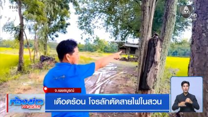 เดือดร้อน โจรลักตัดสายไฟในสวน จ.เพชรบูรณ์