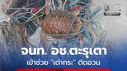 เจ้าหน้าที่ อช.ตะรุเตา เข้าช่วย เต่ากระ ติดอวน บริเวณอ่าวพันเตมะละกา พบไม่มีบาดแผล ร่างกายสมบูรณ์แข็งแรง พร้อมปล่อยคืนสู่ธรรมชาติ