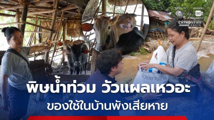 พิษน้ำท่วม วัวแผลเหวอะ ของใช้ในบ้านพังเสียหาย