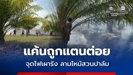 หนุ่มเจ้าของแค้นถูกแตนต่อย จุดไฟเผารัง ลามไหม้สวนปาล์ม