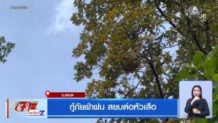 กู้ภัยฝ่าฝน สยบต่อหัวเสือ จ.ตราด
