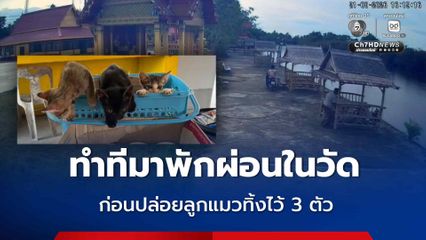2 วัยรุ่นหนุ่มสาว ทำทีขี่รถมานั่งพักผ่อนในวัด ก่อนปล่อยลูกแมวทิ้งไว้ 3 ตัว
