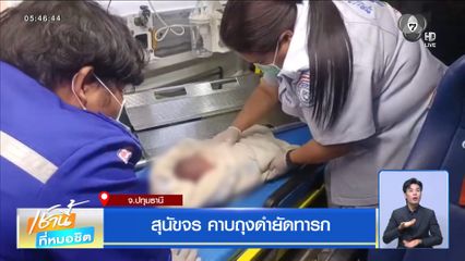 สุนัขจร คาบถุงดำยัดทารก จ.ปทุมธานี