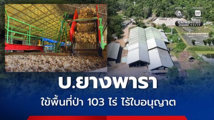 พยัคฆ์ไพร ลุยตรวจบริษัทยางพารา พบใช้พื้นที่ป่าสงวนฯ 103 ไร่