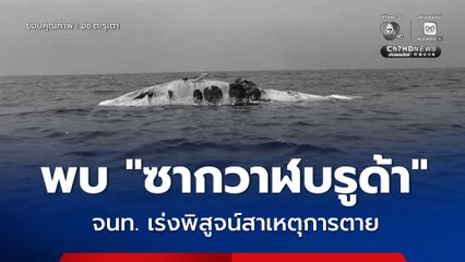 พบ “ซากวาฬบรูด้า” ไม่ทราบเพศ ยาว 10 เมตร บริเวณเกาะไข่ อุทยานแห่งชาติตะรุเตา จนท. เร่งพิสูจน์สาเหตุการตาย