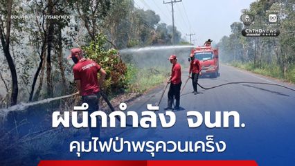 กรมอุทยานฯ ผนึกกำลังเจ้าหน้าที่กว่า 250 นาย คุมไฟป่าพรุควนเคร็ง อย่างต่อเนื่อง เฝ้าระวังเข้มข้น 24 ชม. ป้องกันปะทุซ้ำ