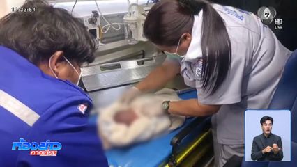 ปาฏิหาริย์ หมาช่วยชีวิต “ทารกถูกทิ้ง” ทางเปลี่ยว จ.ปทุมธานี