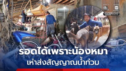 รอดได้เพราะน้องหมา เห่าส่งสัญญาณน้ำท่วม จนหนีรอดออกมาได้หวุดหวิด ความเสียหายนับล้านบาท รถจยย. นับร้อยคันจมน้ำ