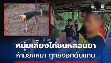หนุ่มเลี้ยงไก่ชนหลอนยา เพื่อนห้ามยิงหมา ถูกยิงอกดับแทน