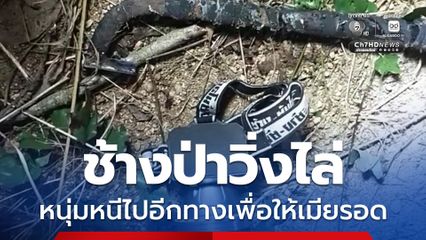 ช้างป่าวิ่งไล่หนุ่ม สละชีวิตล่อไปอีกทางให้เมียรอด ตัวเองถูกเหยียบเสียชีวิต