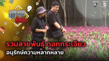 ตะลุยต่อยอด : รวมสายพันธุ์ ดอกกระเจียว อนุรักษ์ความหลากหลาย