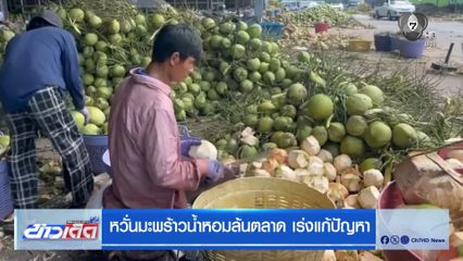 หวั่นมะพร้าวน้ำหอมล้นตลาด เร่งแก้ปัญหา