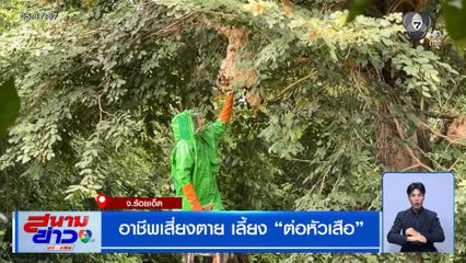 อาชีพเสี่ยงตาย เลี้ยง "ต่อหัวเสือ"