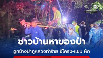 ชาวบ้านหาของป่า ถูกช้างป่าภูหลวงทำร้าย ซี่โครง-แขน หัก