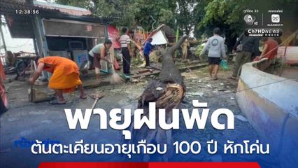 พายุฝนพัดต้นตะเคียนอายุเกือบ 100 ปี หักโค่น จ.พระนครศรีอยุธยา