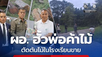 แฉ ผอ.โรงเรียน ฮั้วพ่อค้าไม้ ตัดต้นไม้ในโรงเรียนขาย