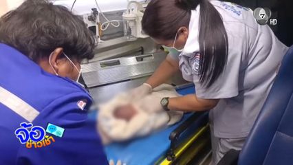 ปาฏิหาริย์ หมาช่วยชีวิต "ทารกถูกทิ้ง" ทางเปลี่ยว