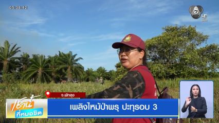 เพลิงไหม้ป่าพรุ ปะทุรอบ 3