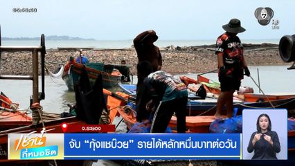 จับ กุ้งแชบ๊วย รายได้หลักหมื่นบาทต่อวัน