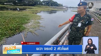 ผวา จระเข้ 2 ตัวโผล่