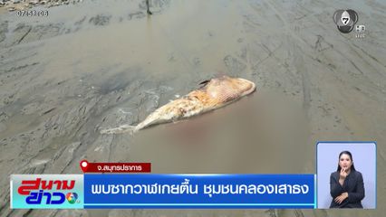 พบซากวาฬเกยตื้น ชุมชนคลองเสาธง จ.สมุทรปราการ